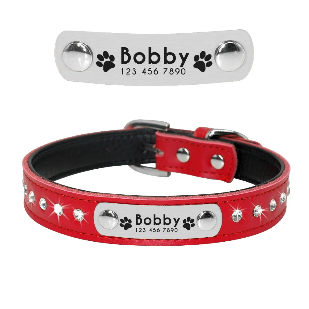 Collar Personalizado para Gatos e Pequenos Pets com Gravação Gratuita - Ajustável e Exclusivo