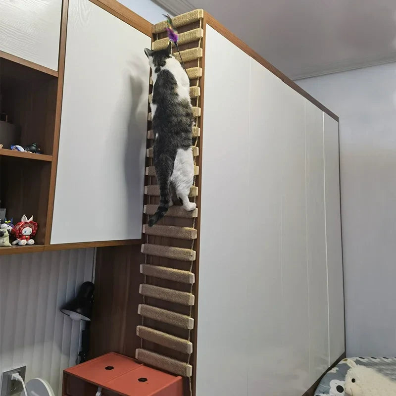 Ponte para Gatos com Escada de Sisal - Móveis para Gatos, Postes de Arranhar e Brinquedos