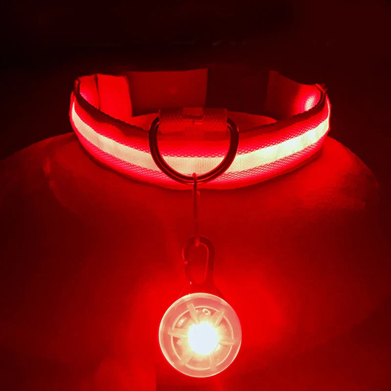 Colar de Cão com LED Carregável USB - Segurança Noturna para Pequenos Animais