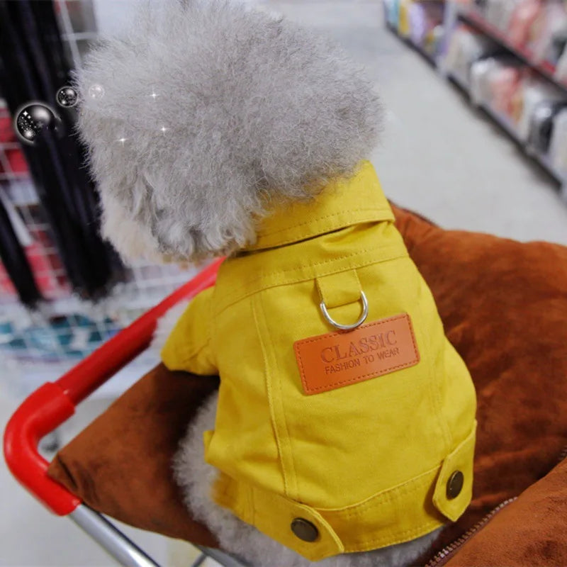 Conjunto de Roupa Jeans para Cães: Casaco com Argola para Guia - Ideal para Cães Pequenos e Médios