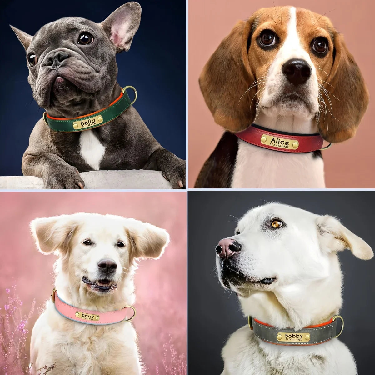 Collar para Cães Personalizado com Gravação