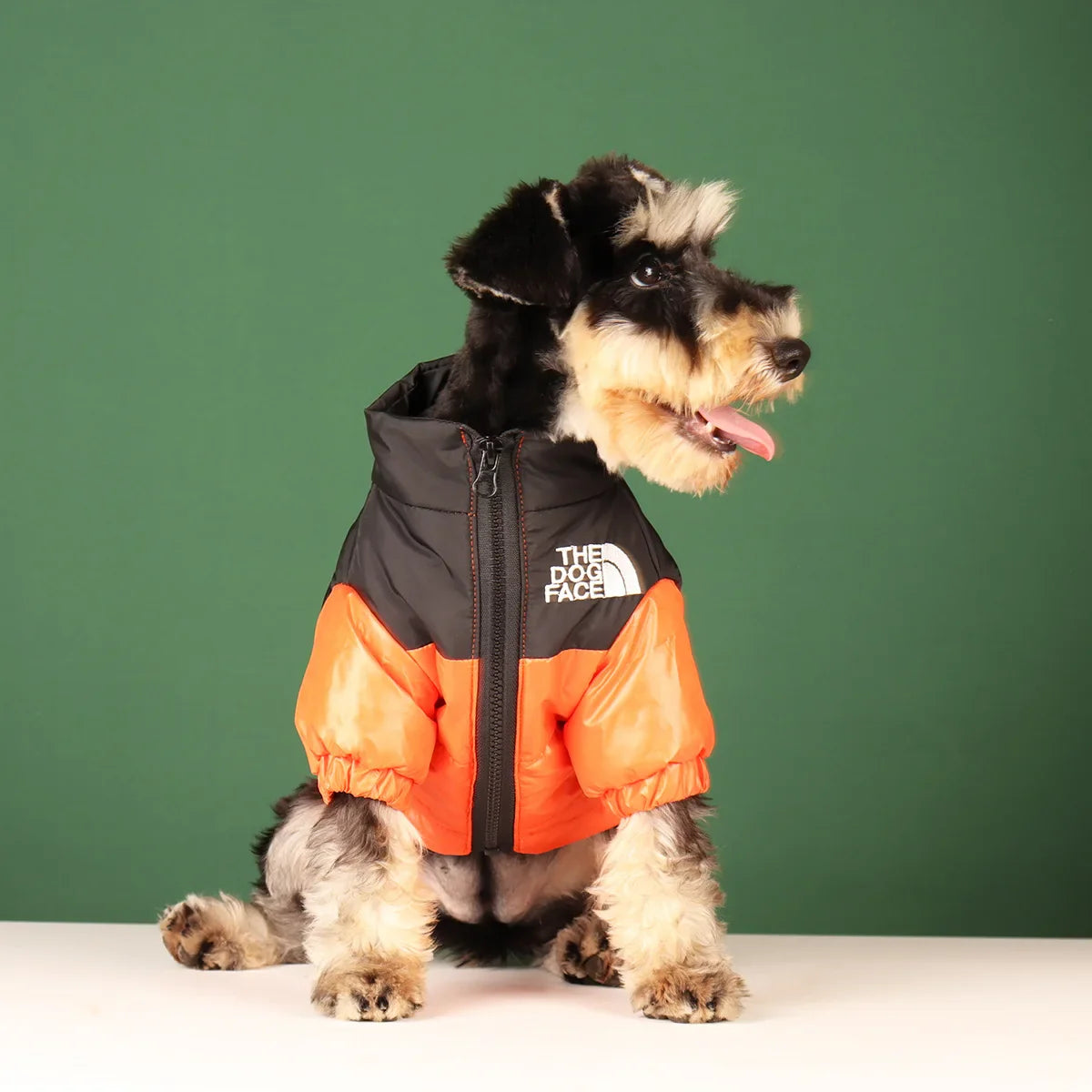 Jaqueta Puffer Aquecida para Cães - Conforto e Estilo