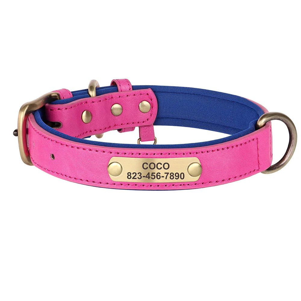 Collar e Guia Personalizados para Cachorros com Placa de Identificação Gravação Gratuita