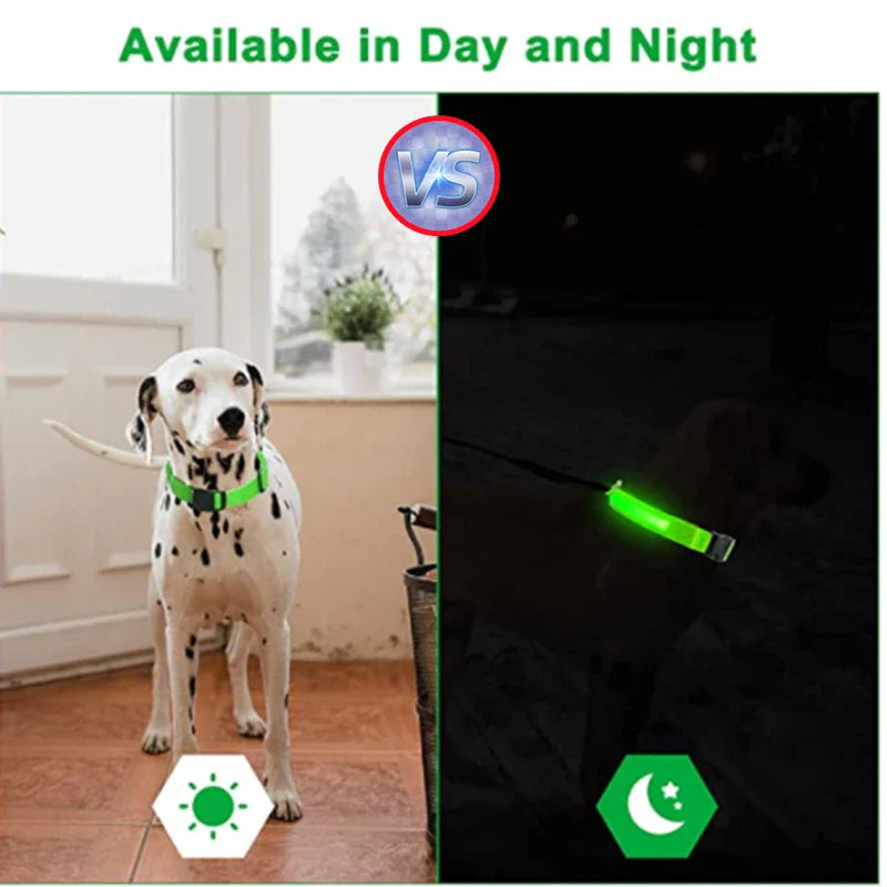 Colar de Cão com LED Carregável USB - Segurança Noturna para Pequenos Animais