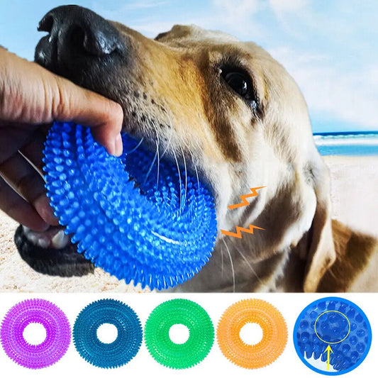 Brinquedo Para Cães: Anel Molar Squeaky para Limpeza dos Dentes e Treinamento