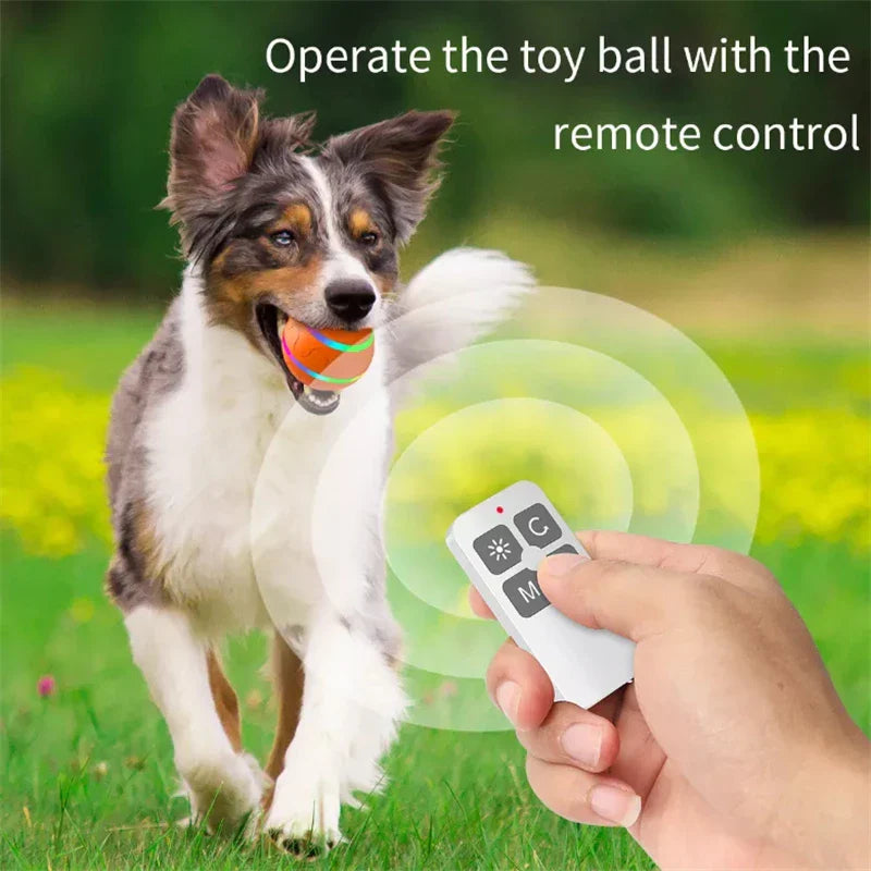 Bolinha Interativa para Pets com Controle Remoto