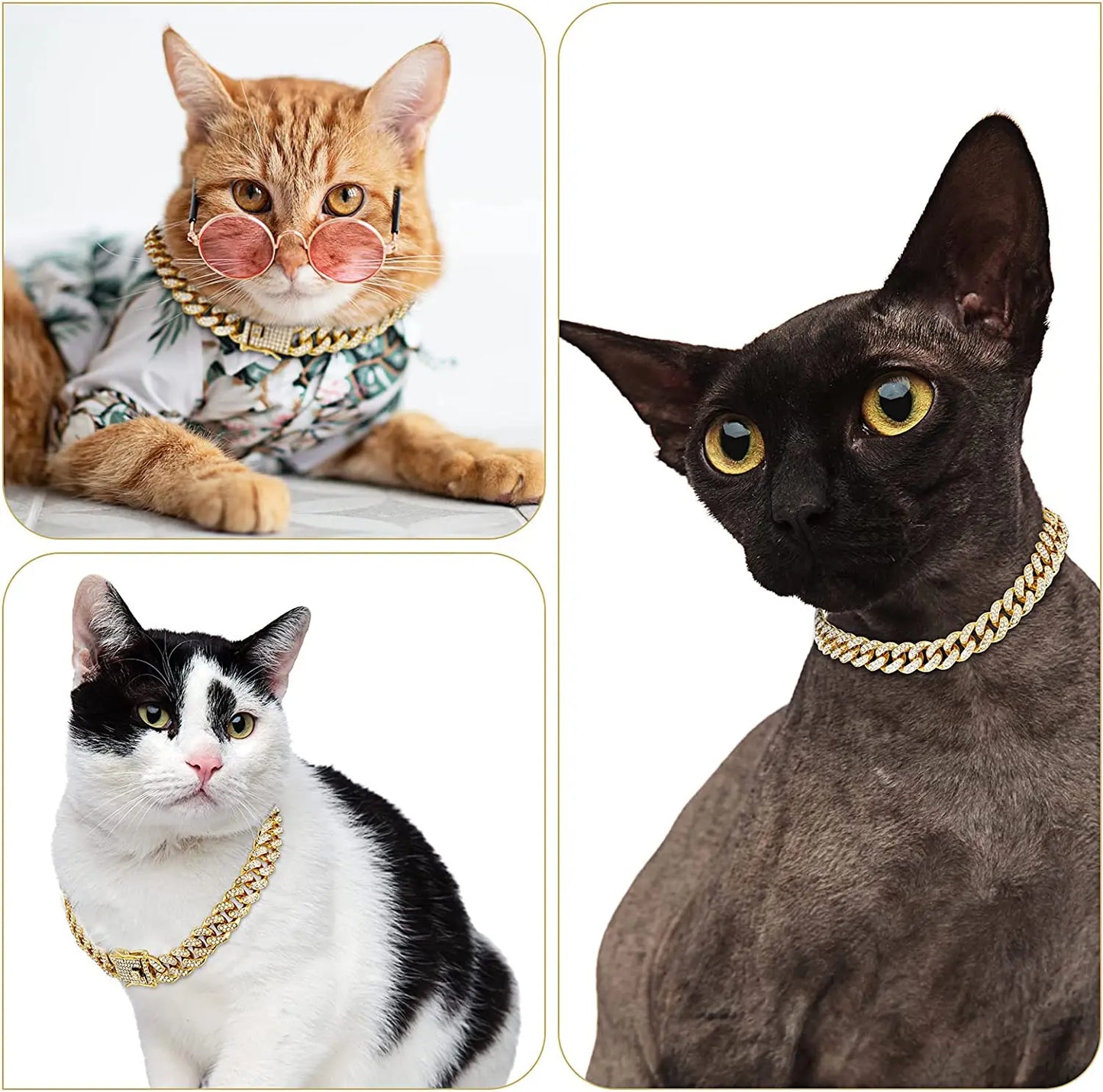 Colar de Corrente de Ouro para Cães e Gatos - Acessório Elegante e Durável