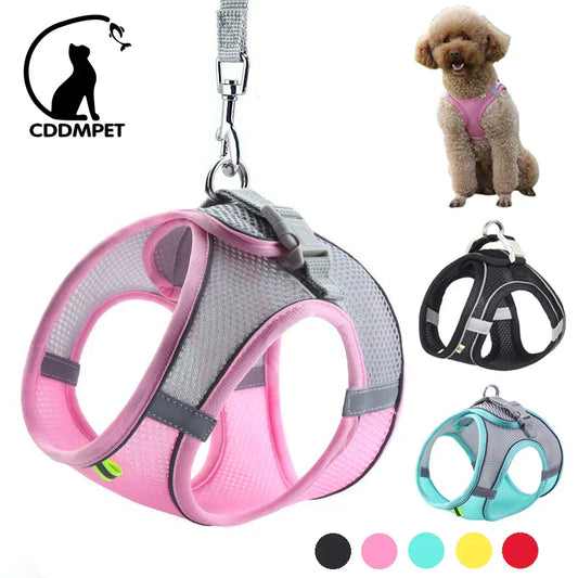 Conjunto de Peitoral e Guia para Cães - Conforto e Segurança