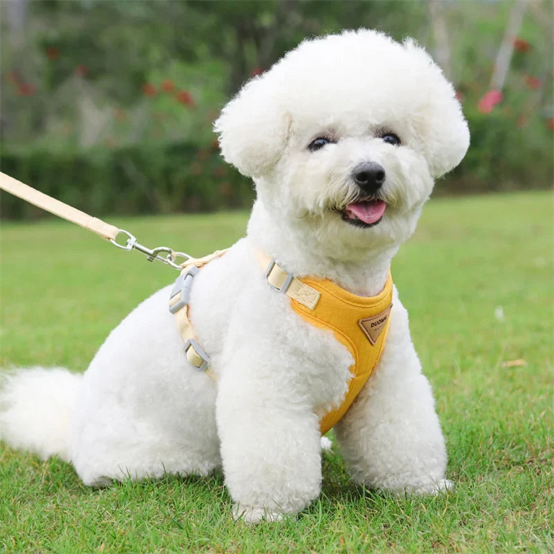 Conjunto de Peitoral e Guia Ajustável para Cachorros Pequenos - Acessórios para Pets