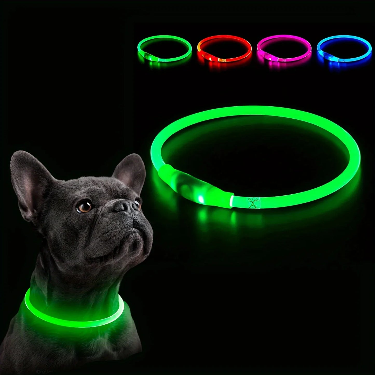 Collar LED Luminoso para Cães - Recarregável e Anti-perda