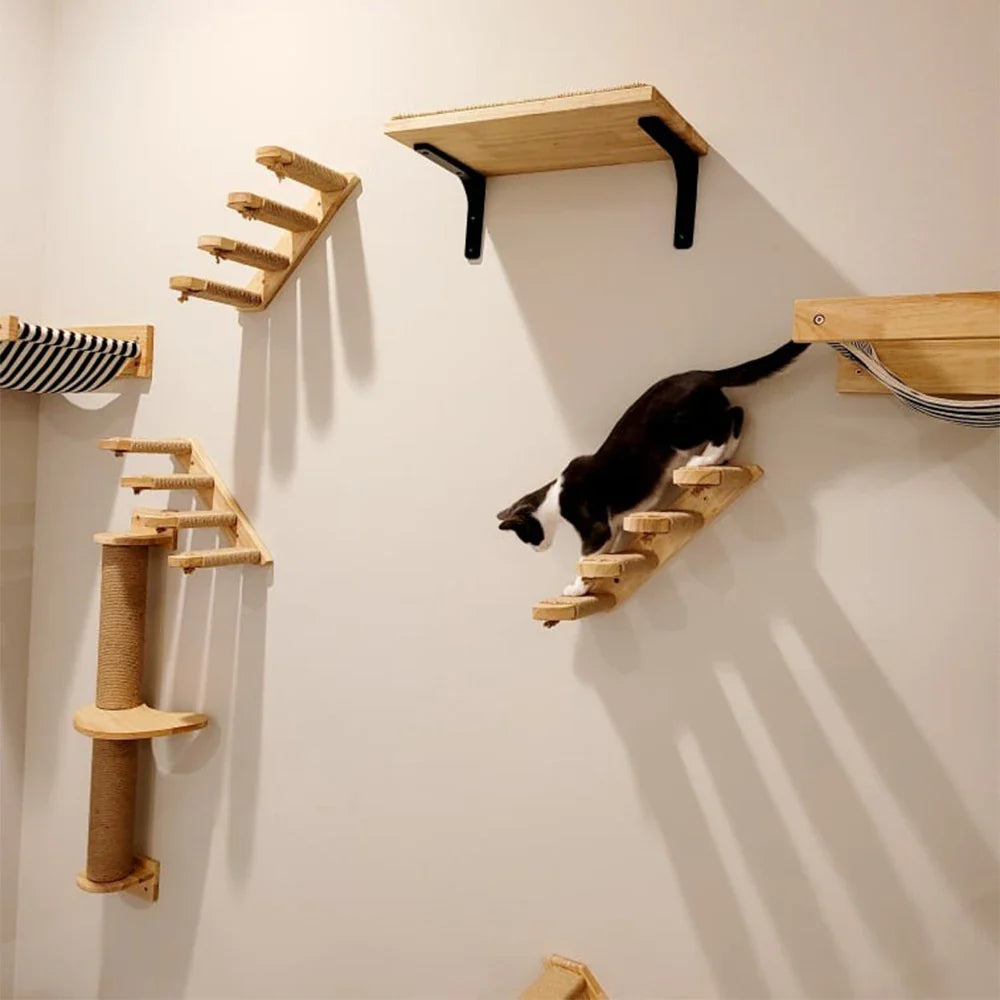 Prateleiras para Gatos de Parede com Poste Arranhador e Escadas para Escalada