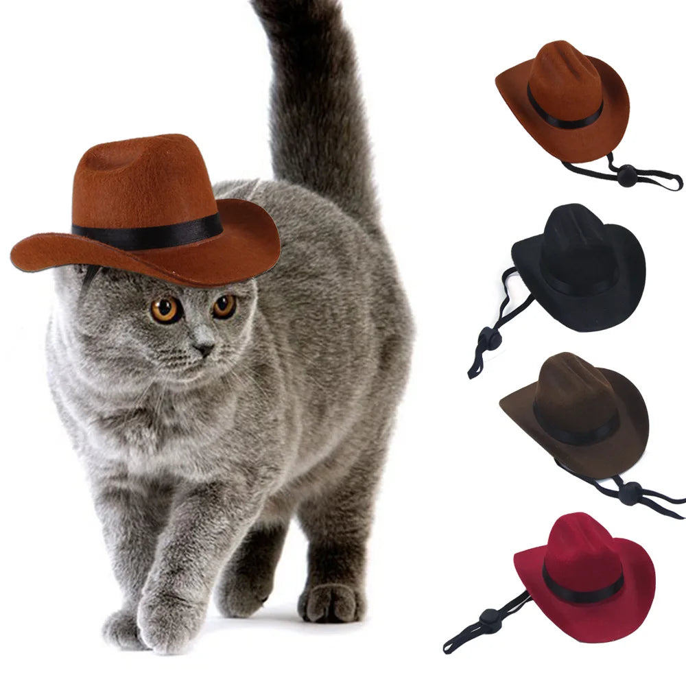 Chapéu de Cowboy para Gatos: Acessório Divertido e Estiloso