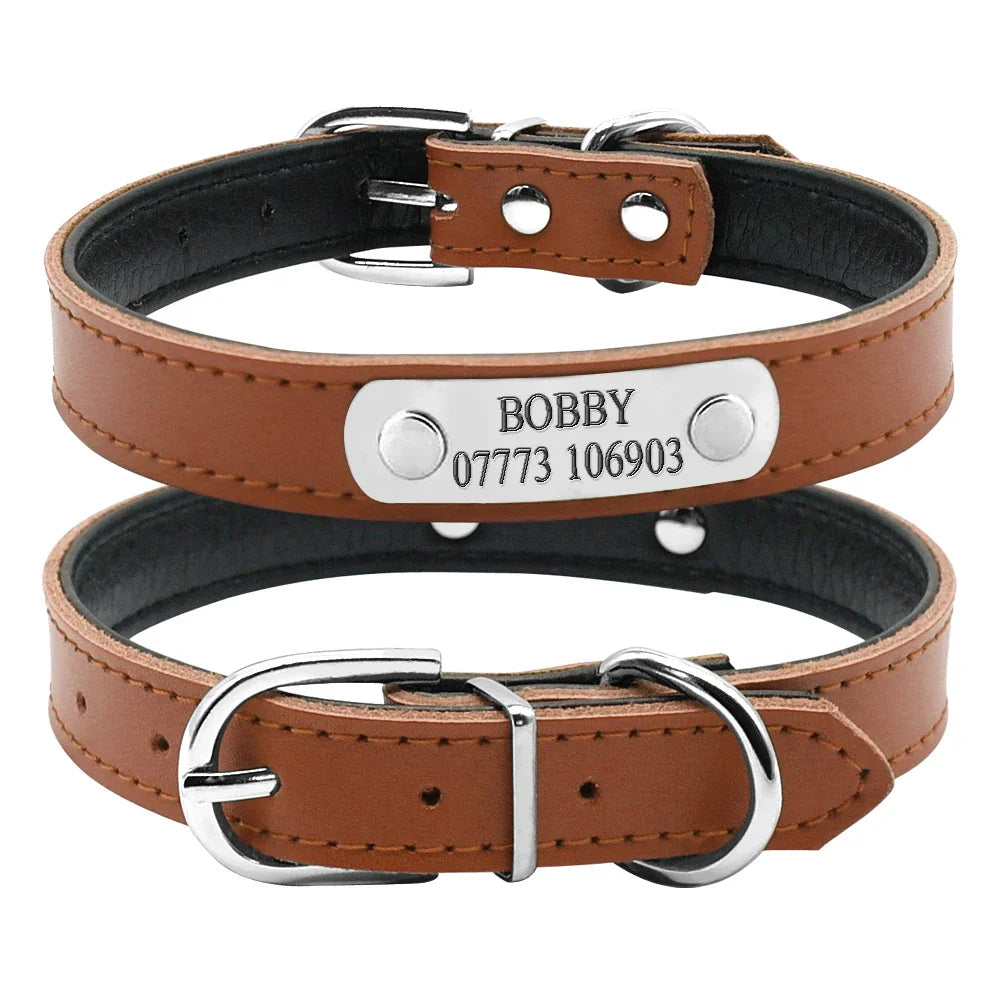 Collar Personalizado para Gatos e Pequenos Pets com Gravação Gratuita - Ajustável e Exclusivo