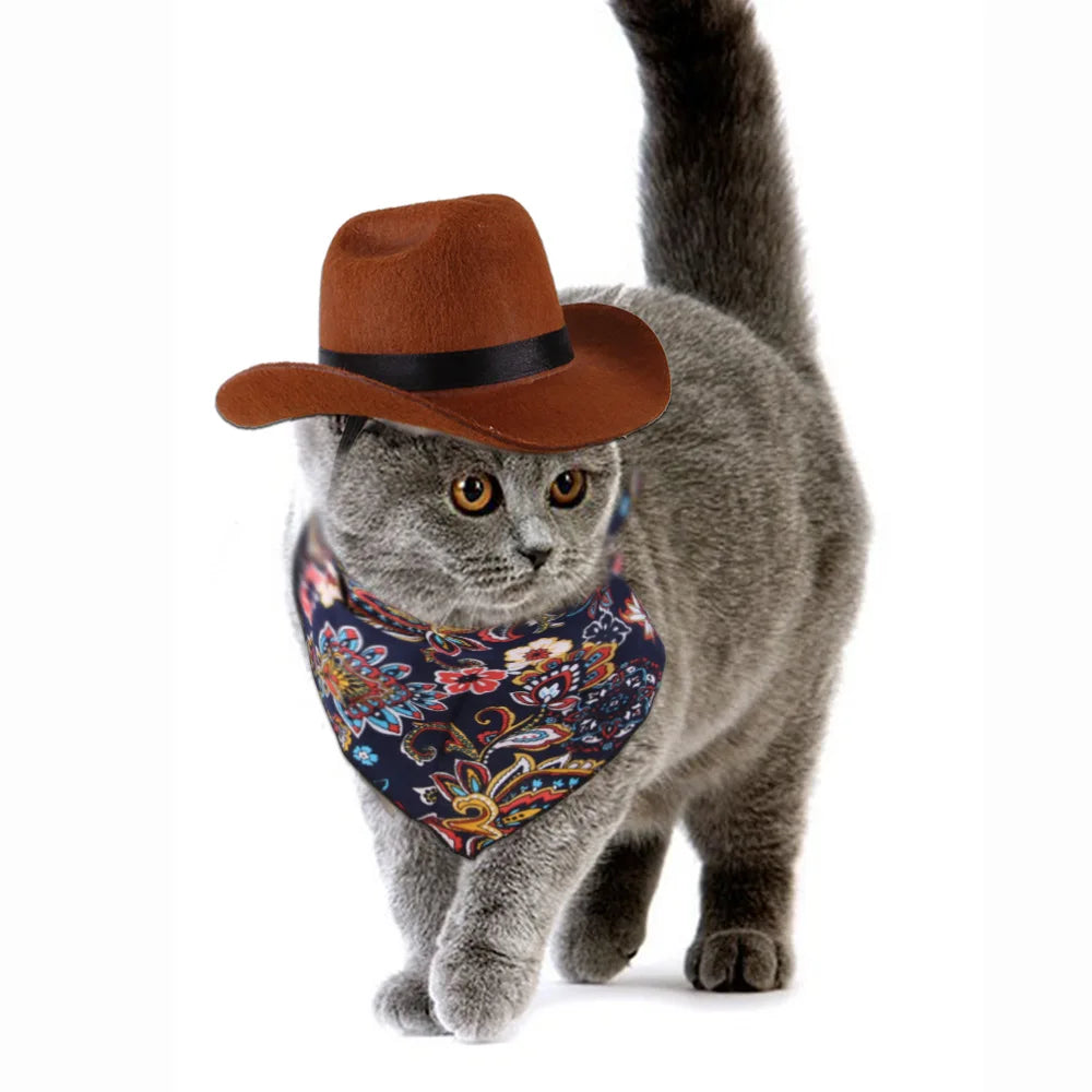 Chapéu de Cowboy para Gatos: Acessório Divertido e Estiloso