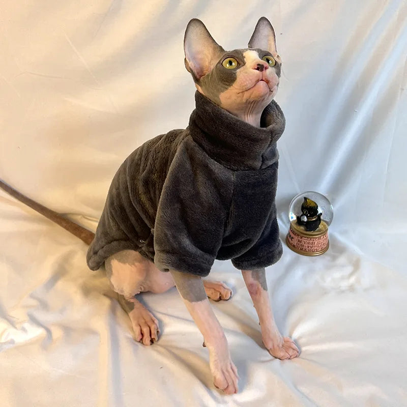 Roupas Confortáveis para Gatos Sphynx - Moletom e Casaco para Animais de Estimação