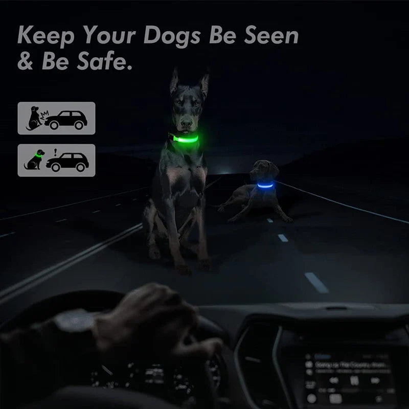 Colar de Cão com LED Carregável USB - Segurança Noturna para Pequenos Animais