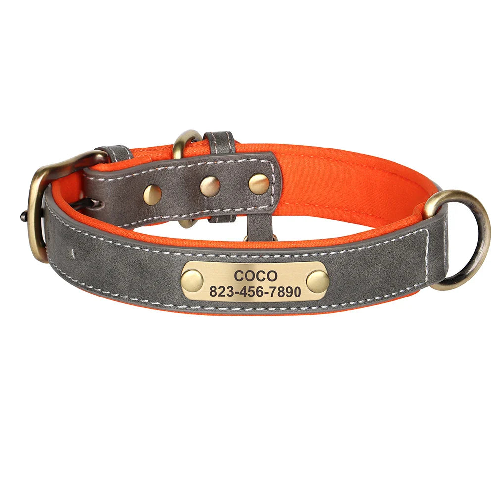 Collar e Guia Personalizados para Cachorros com Placa de Identificação Gravação Gratuita