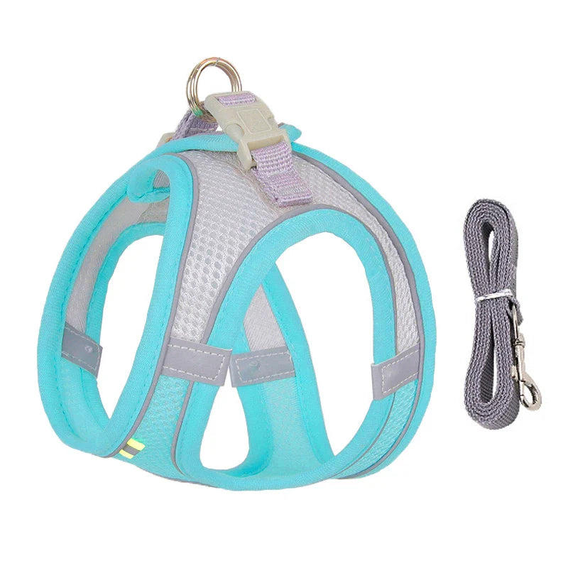 Conjunto de Peitoral e Guia para Cães - Conforto e Segurança