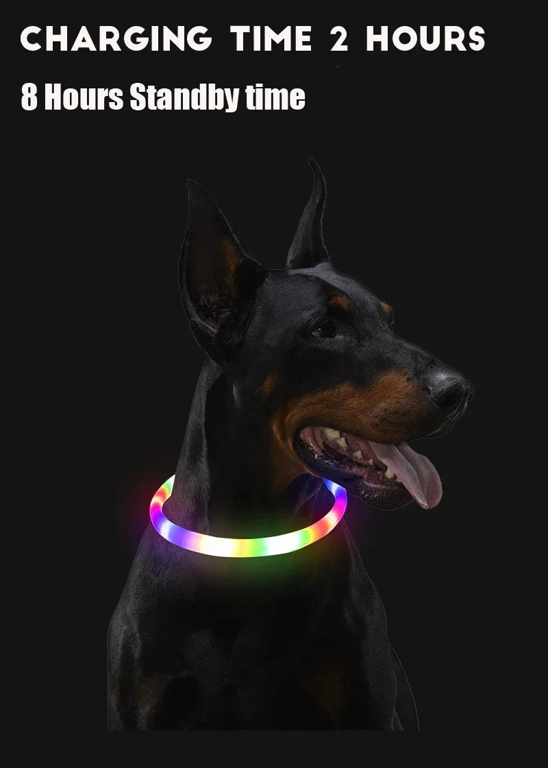 Colar Refletor LED para Cães - Segurança e Visibilidade Noturna