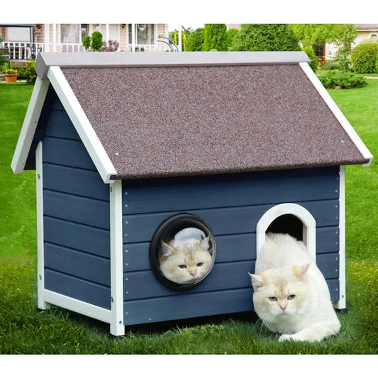 Casa de Gato com Porta de Escape e Janelas Transparentes