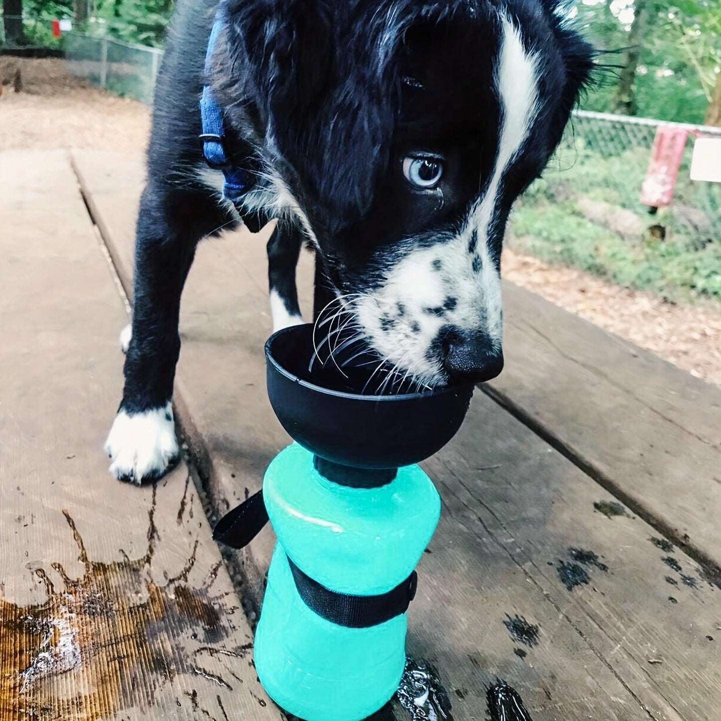 Garrafa Dobrável para Água de Cães - À Prova de Vazamentos, Livre de BPA