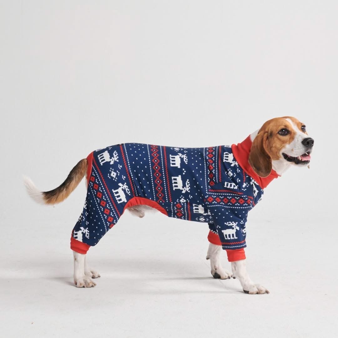 Pijama de Natal para Cachorro - Azul Dasher