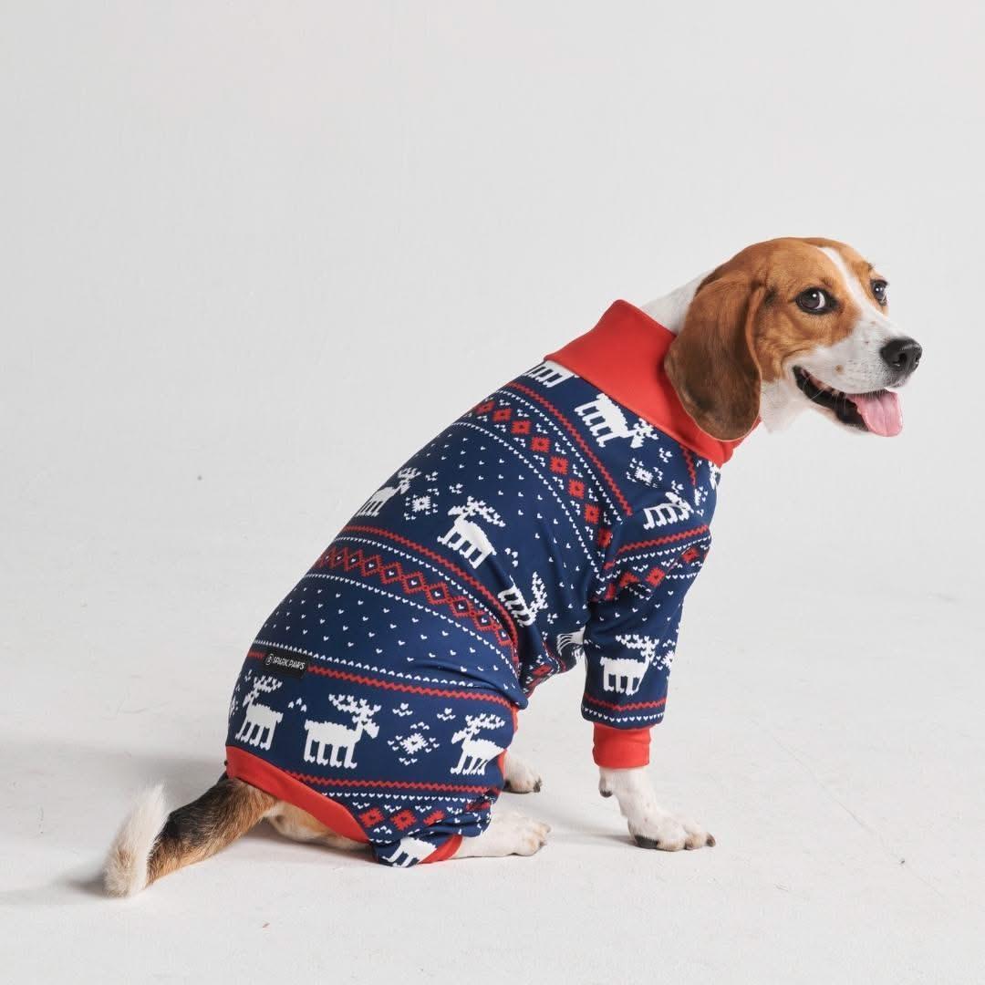 Pijama de Natal para Cachorro - Azul Dasher