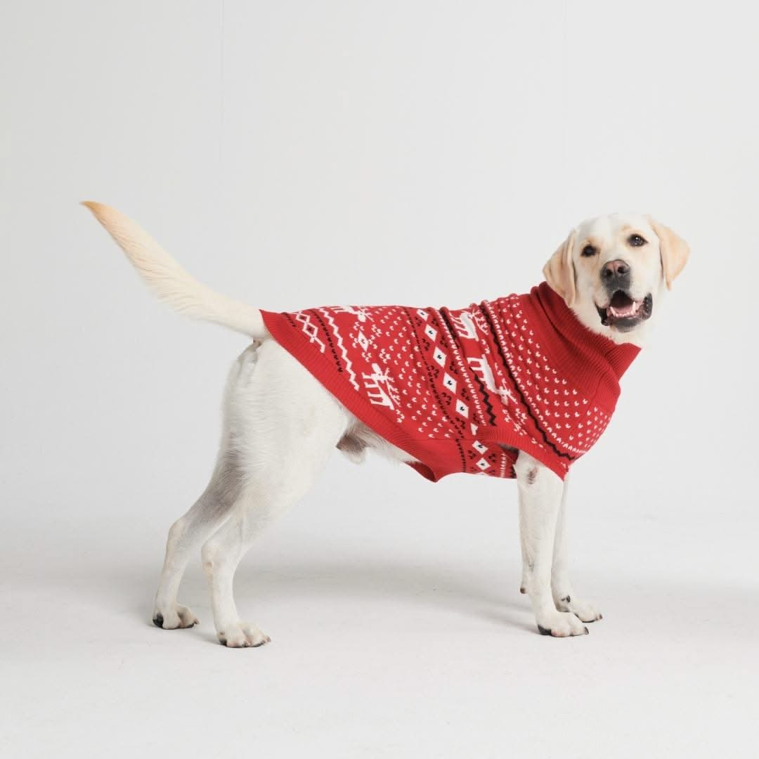 Suéter Tricotado de Natal para Cachorro - Vermelho Dasher