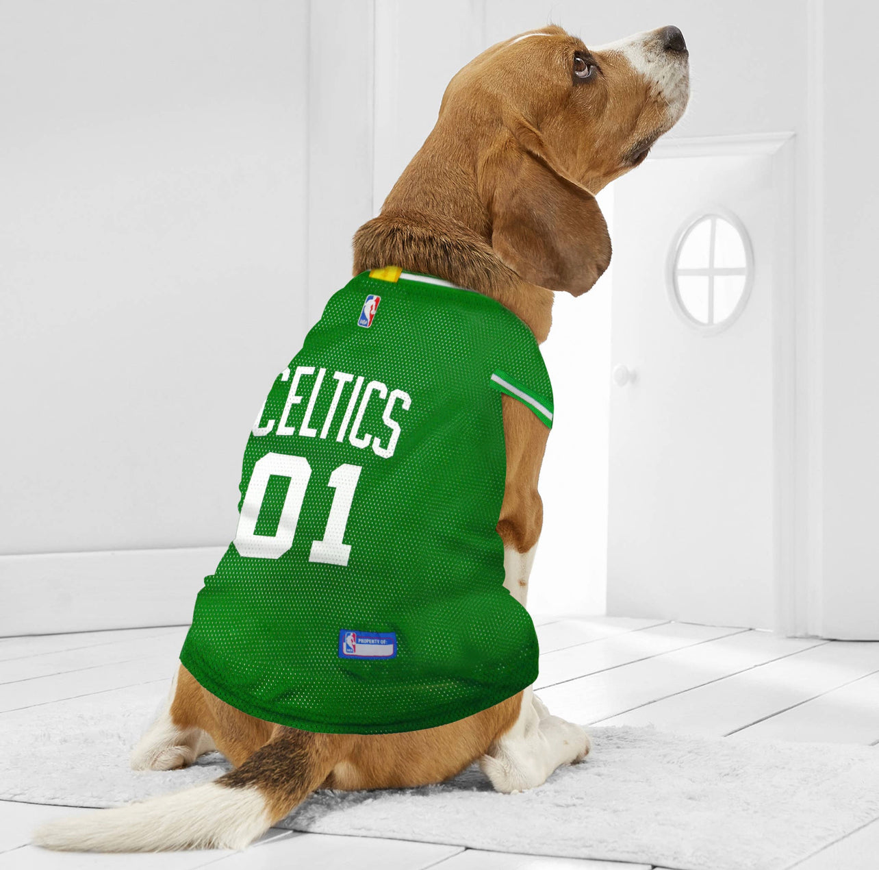 Jersey de Rede para Cães e Gatos - Estilo NBA Boston Celtics