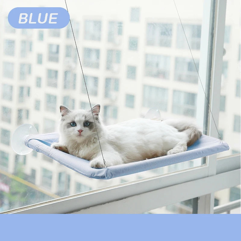 Cat Lounge: Conforto e Vista para Gatos