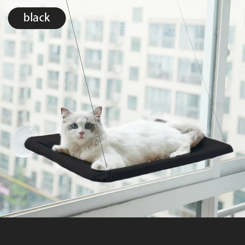 Cat Lounge: Conforto e Vista para Gatos