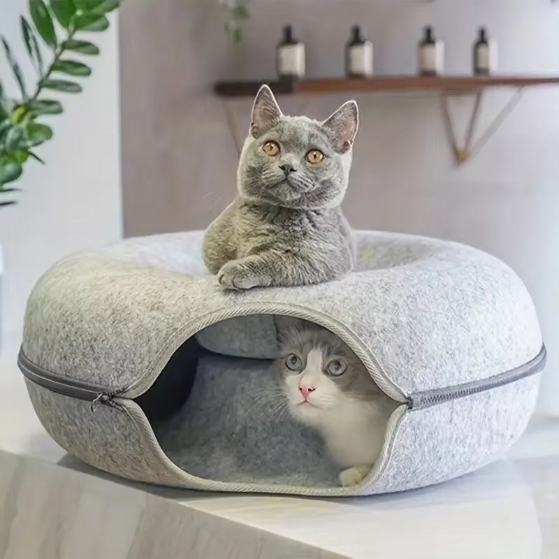 Túnel e Cama Aconchegante para Gatos - Diversão e Conforto