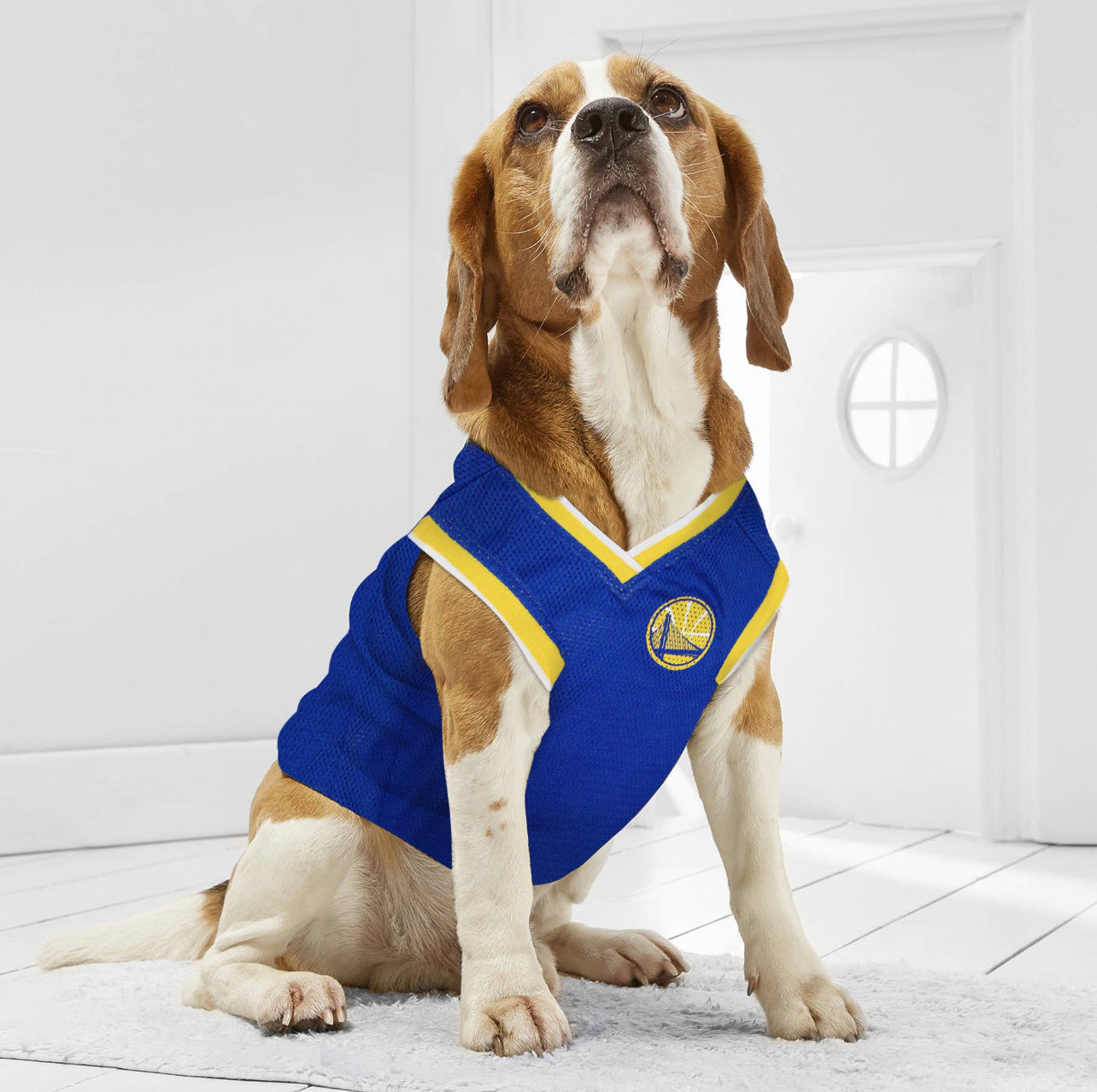 Jersey de Malha para Cães e Gatos - Basquete Estilo Time