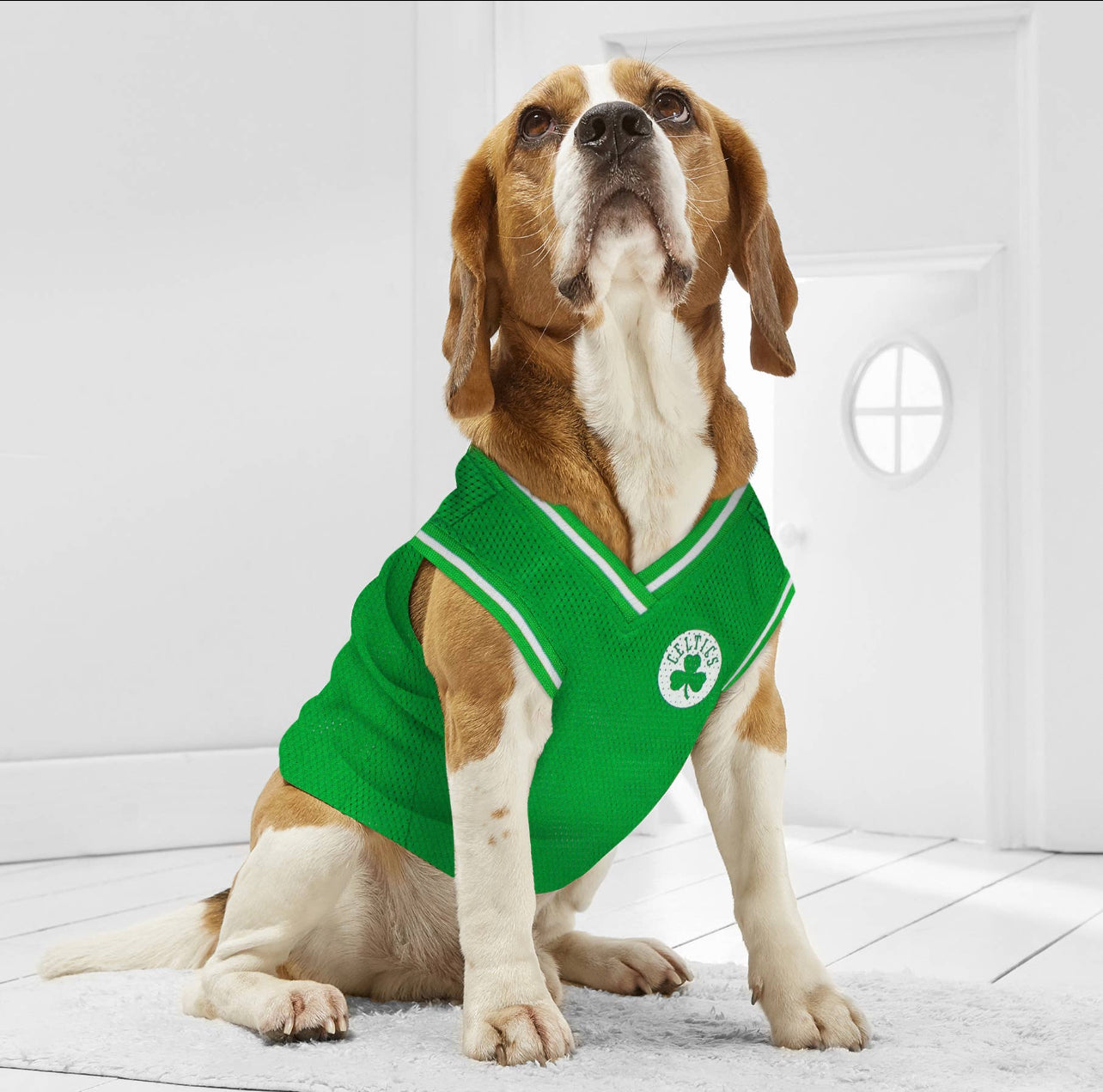 Jersey de Rede para Cães e Gatos - Estilo NBA Boston Celtics