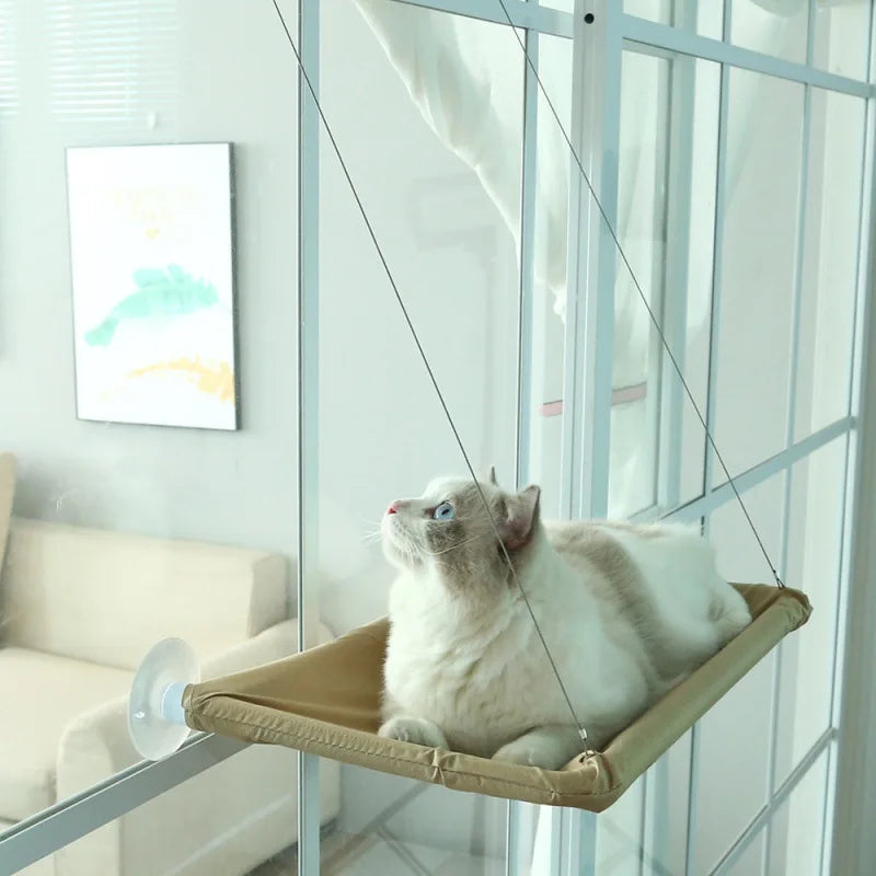 Cat Lounge: Conforto e Vista para Gatos