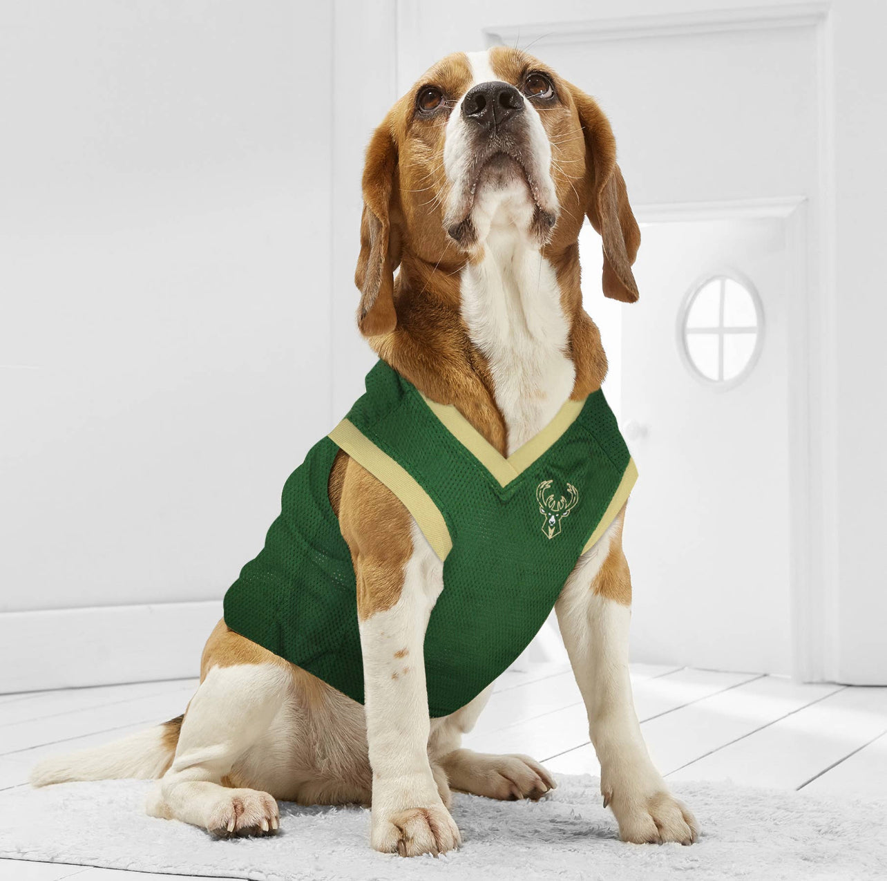 Jersey de Basquete em Malha para Cachorros e Gatos - Estilo Esportivo